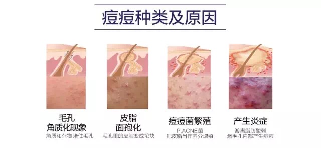 微信图片_20190827151538.jpg